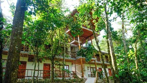 A multi-story building surrounded by dense forest. - Superior Room 1 or 2 beds Suchipakari Jungle Lodge (Napo)