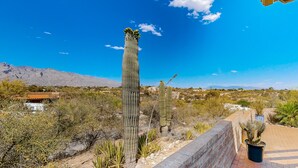 Un paysage désertique avec des cactus et une montagne en arrière-plan.