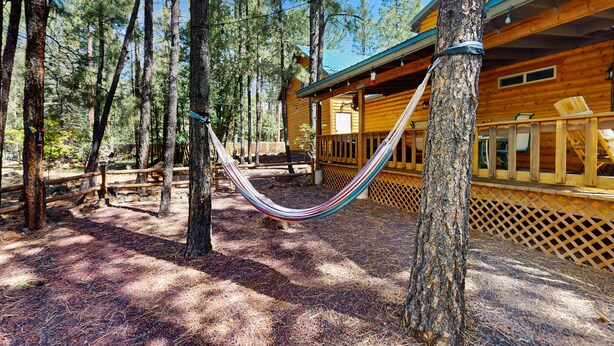 Une cabane en bois avec un hamac suspendu entre deux arbres, entourée d’une forêt.