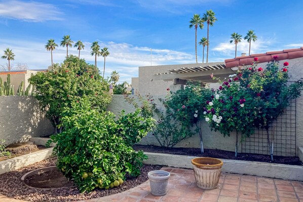 Property grounds - Sunny home with outdoor pool, hot tub, private patio, grill, streaming, W/D, AC (Scottsdale)