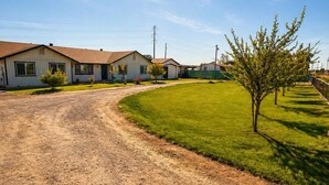 Un quartier résidentiel avec des maisons, un chemin d’accès en terre et une pelouse bien entretenue.