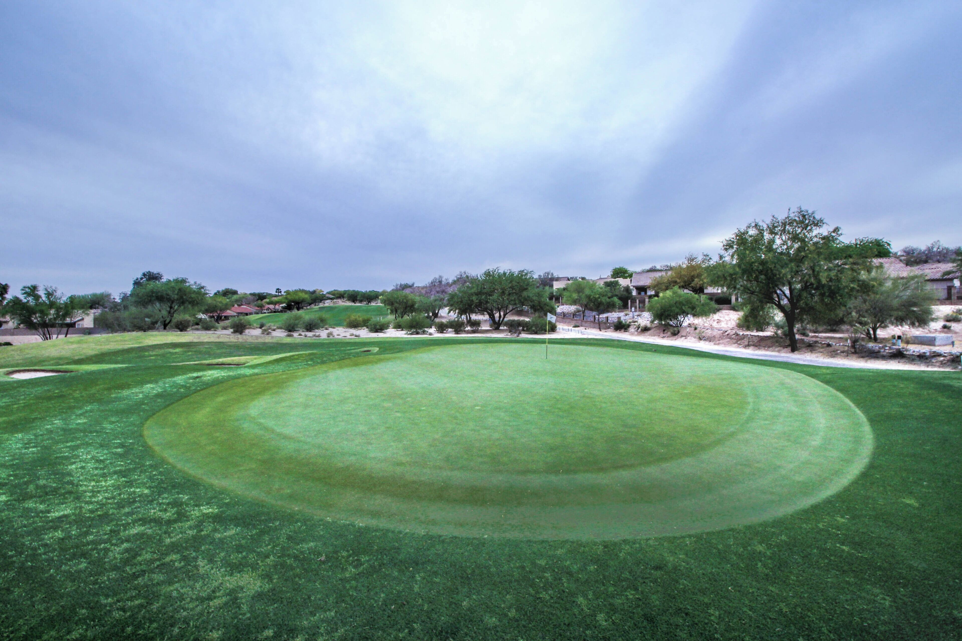 Un campo de golf con un green impecable, bunkers de arena y árboles.