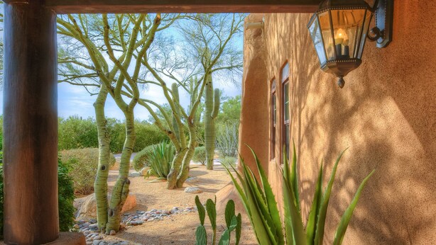 A covered outdoor area with a cactus plant, a lantern, and a stone pathway. - Catalina Foothills oasis on 2.1 acres with private pool & putting green (Tucson)