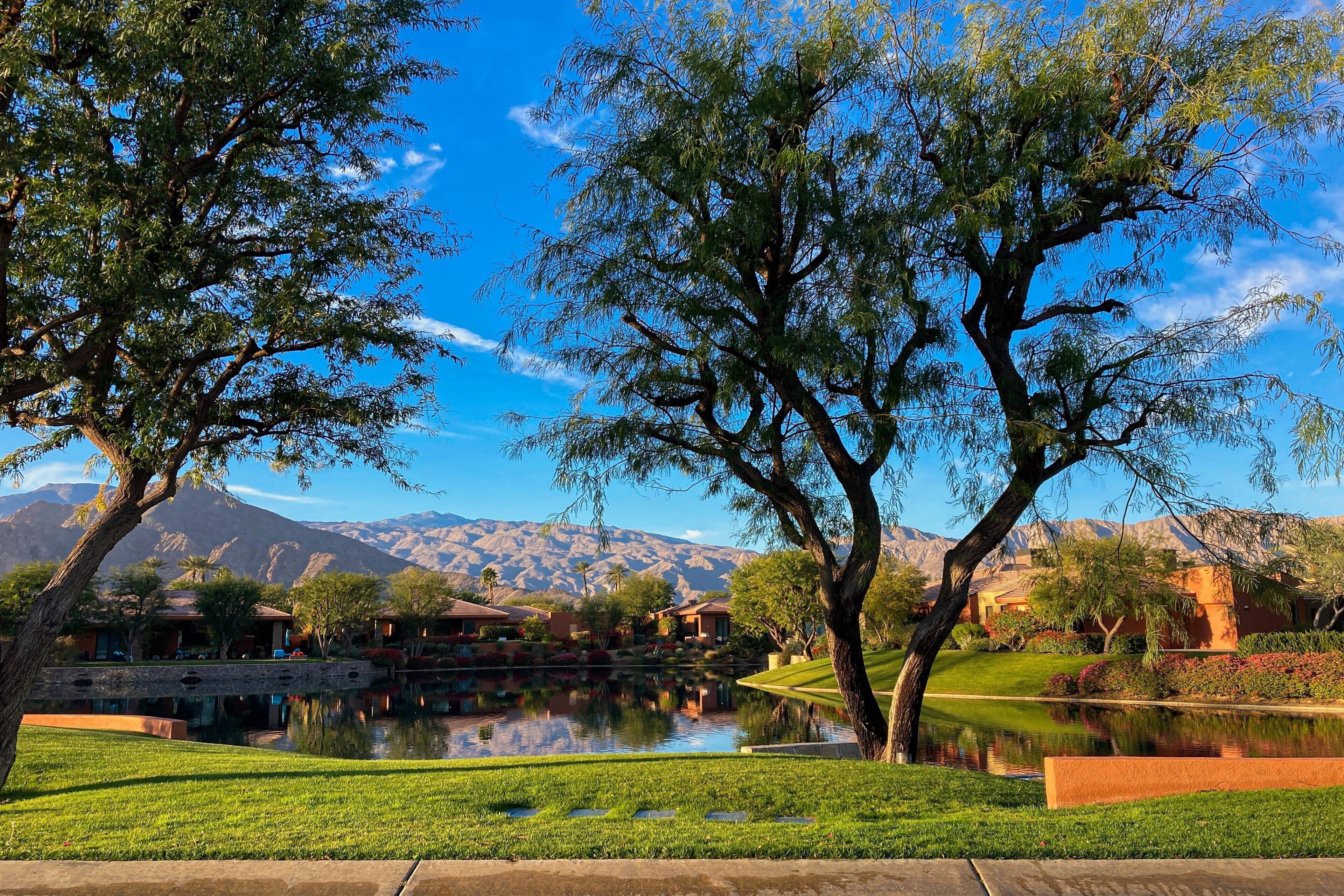 A serene landscape with a lake, trees, and a mountain in the background.