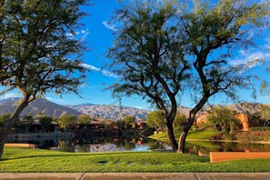Property grounds - Lakeside luxury home w/ private pool & spa, fireplace & outdoor kitchen-dog ok (La Quinta)