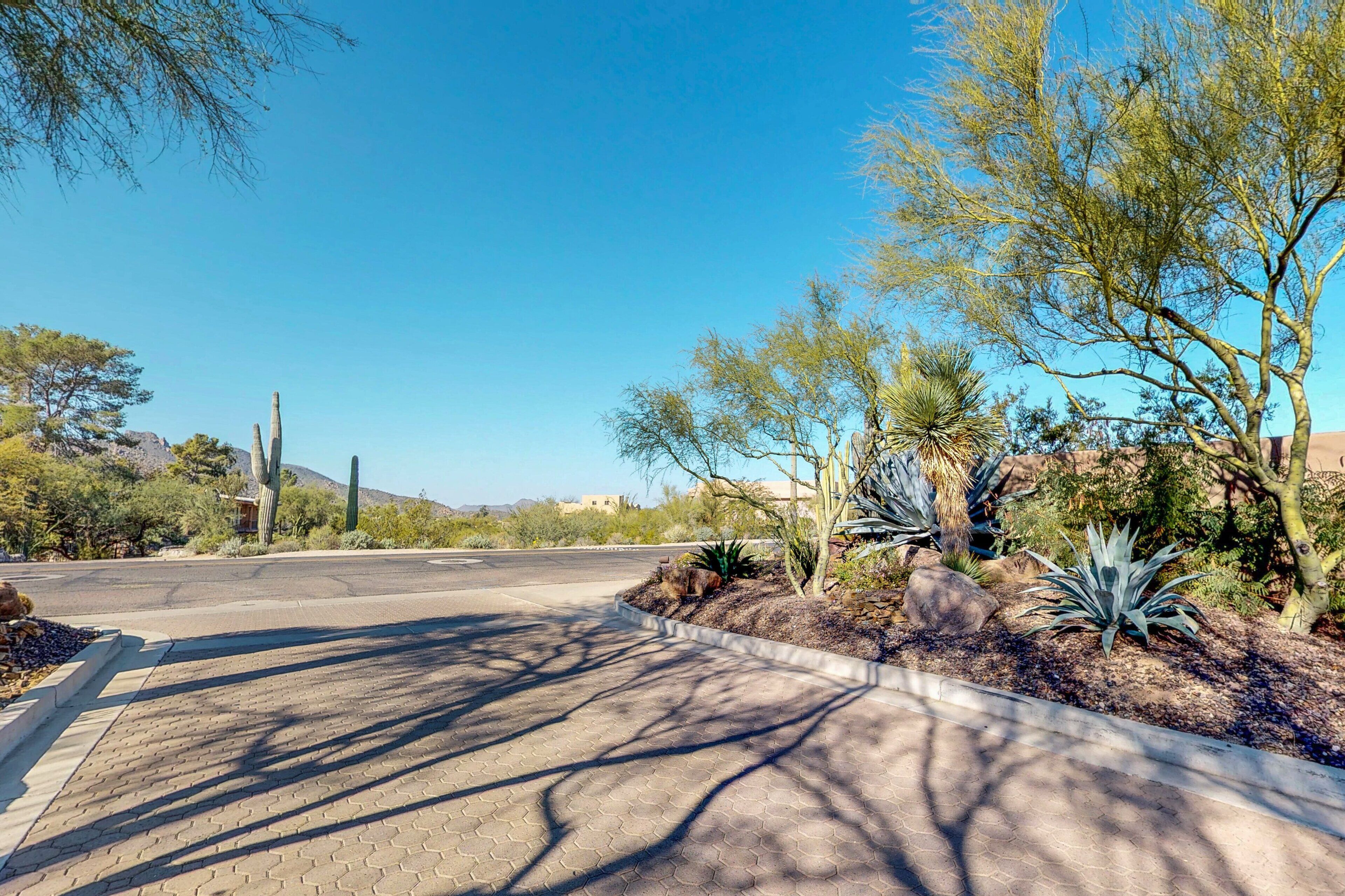 A paved road with a sidewalk on one side, surrounded by desert vegetation and a clear blue sky.