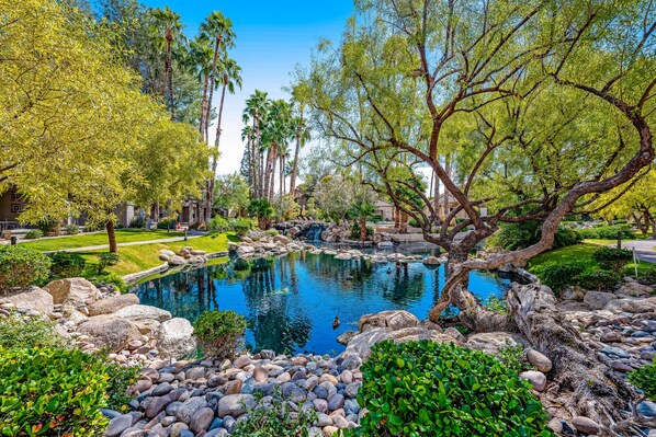 Property grounds - Luxurious ground floor Condo w/ shared pool & hot tub, overlooking the Lagoon (Scottsdale)