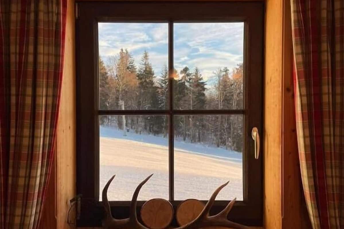 A window with a view of a snowy landscape and trees.
