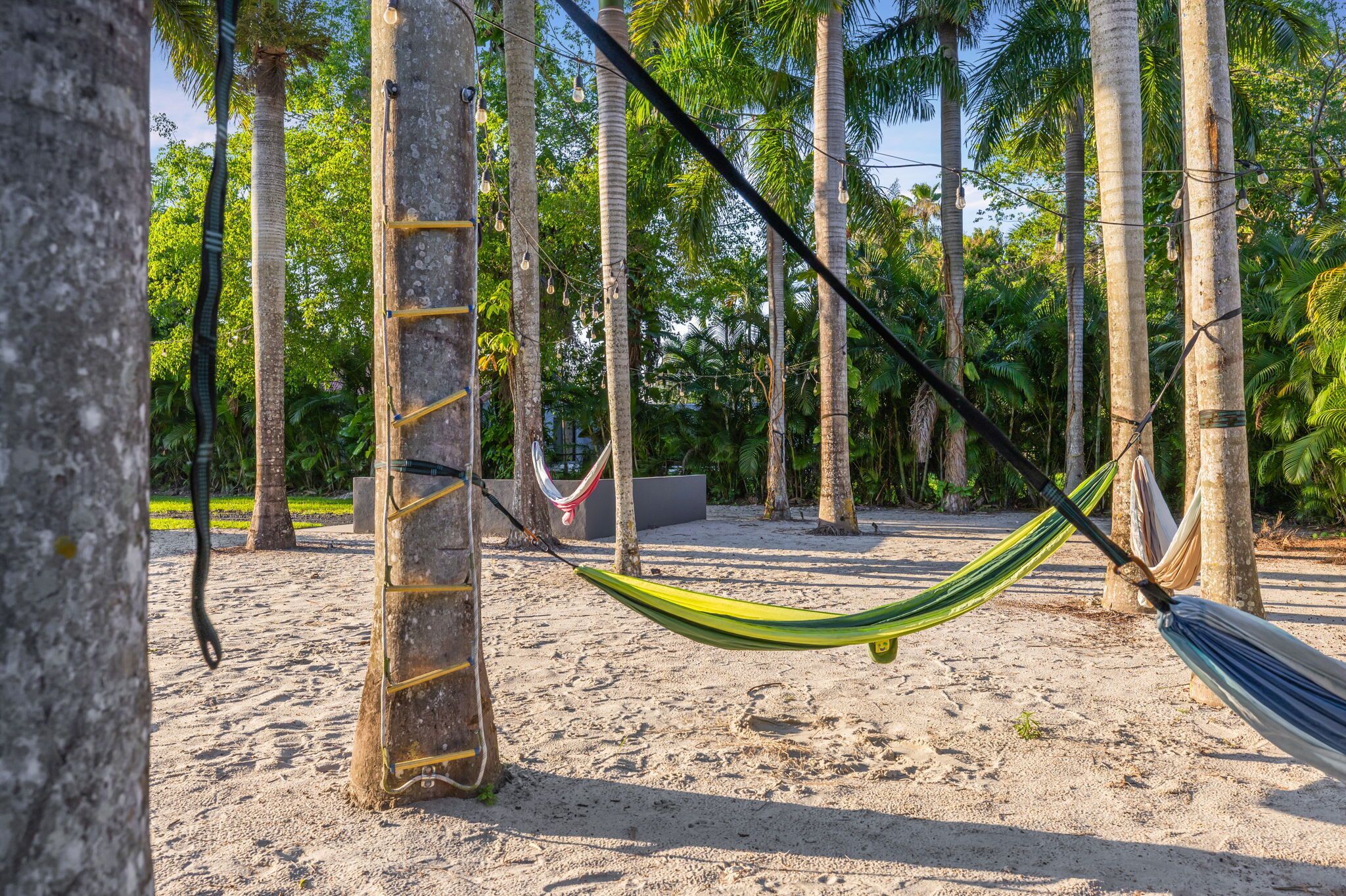 A hammock between palm trees on a sandy beach.