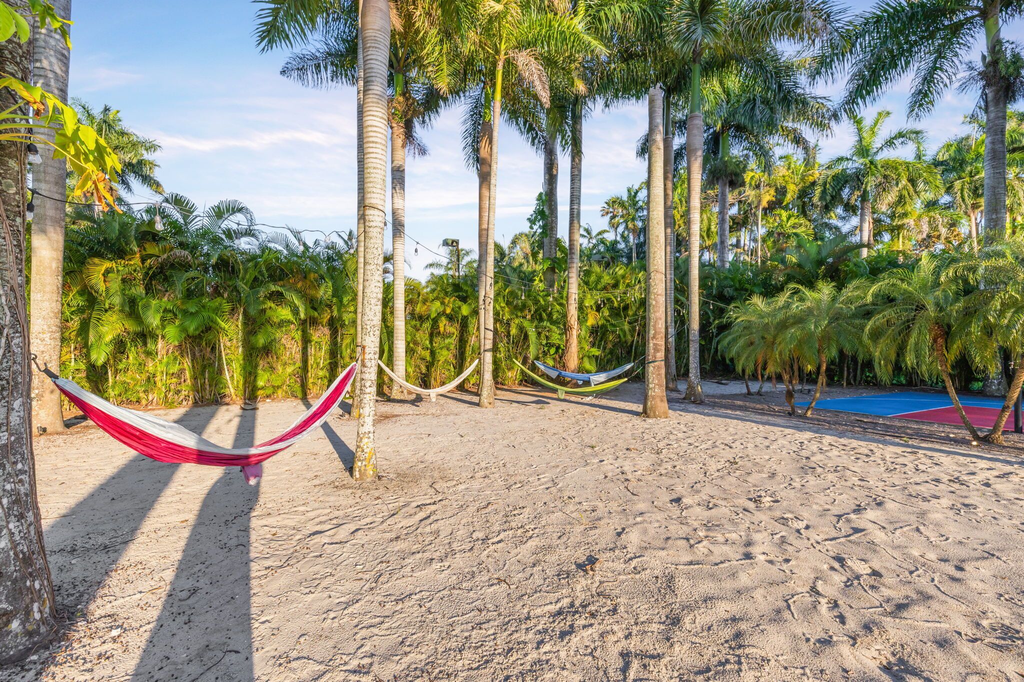 A hammock on a sandy beach with palm trees in the background.