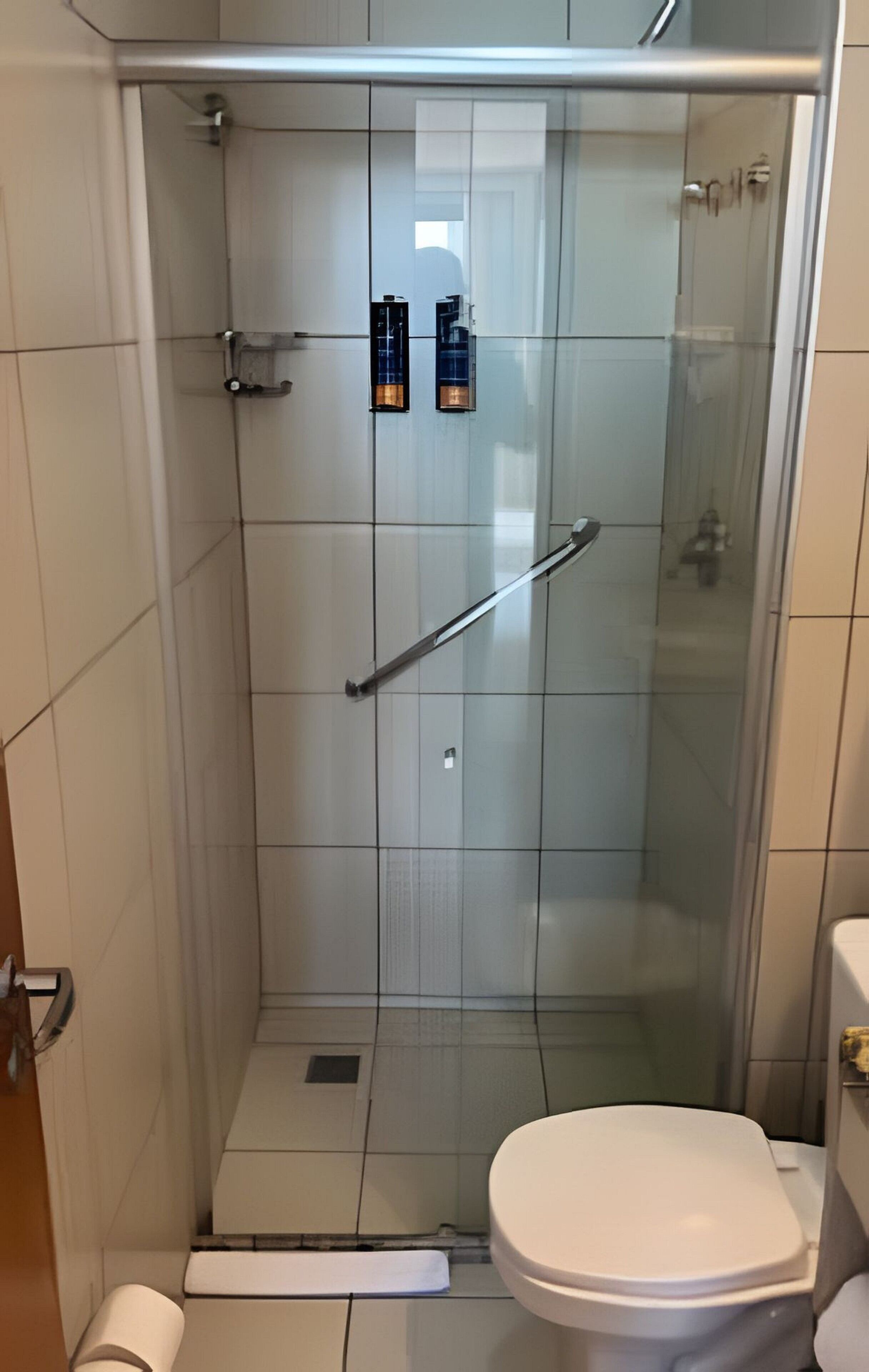 Ducha con puerta de vidrio, baranda metálica y retrete blanco.