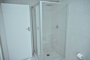 Jetted tub, towels, toilet paper