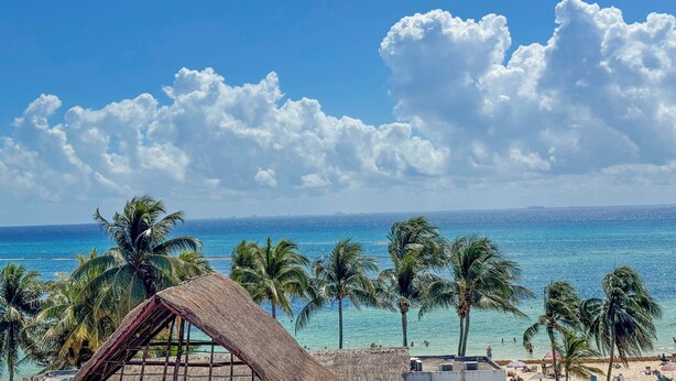 A beach view with palm trees and a thatched-roof structure. - Grand Boréna Hotel Boutique (Playa del Carmen)