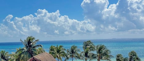 Luxury Penthouse, 2 Bedrooms, Kitchen, Beach View | Beach/ocean view