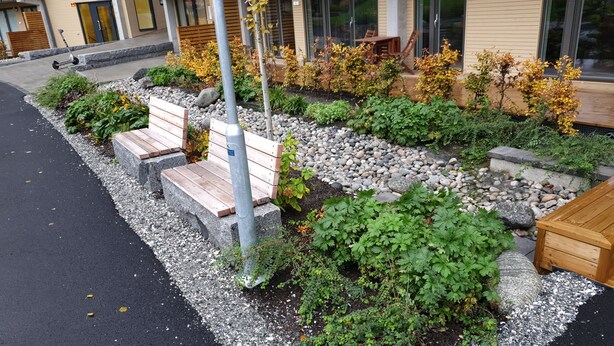 Een aangelegde tuin met bankjes en verschillende planten.