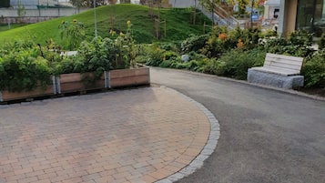 Áreas de la propiedad