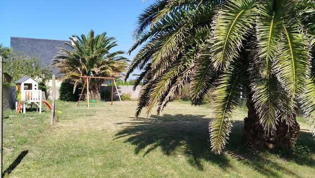 Zona verde con palmeras y un edificio pequeño al fondo.