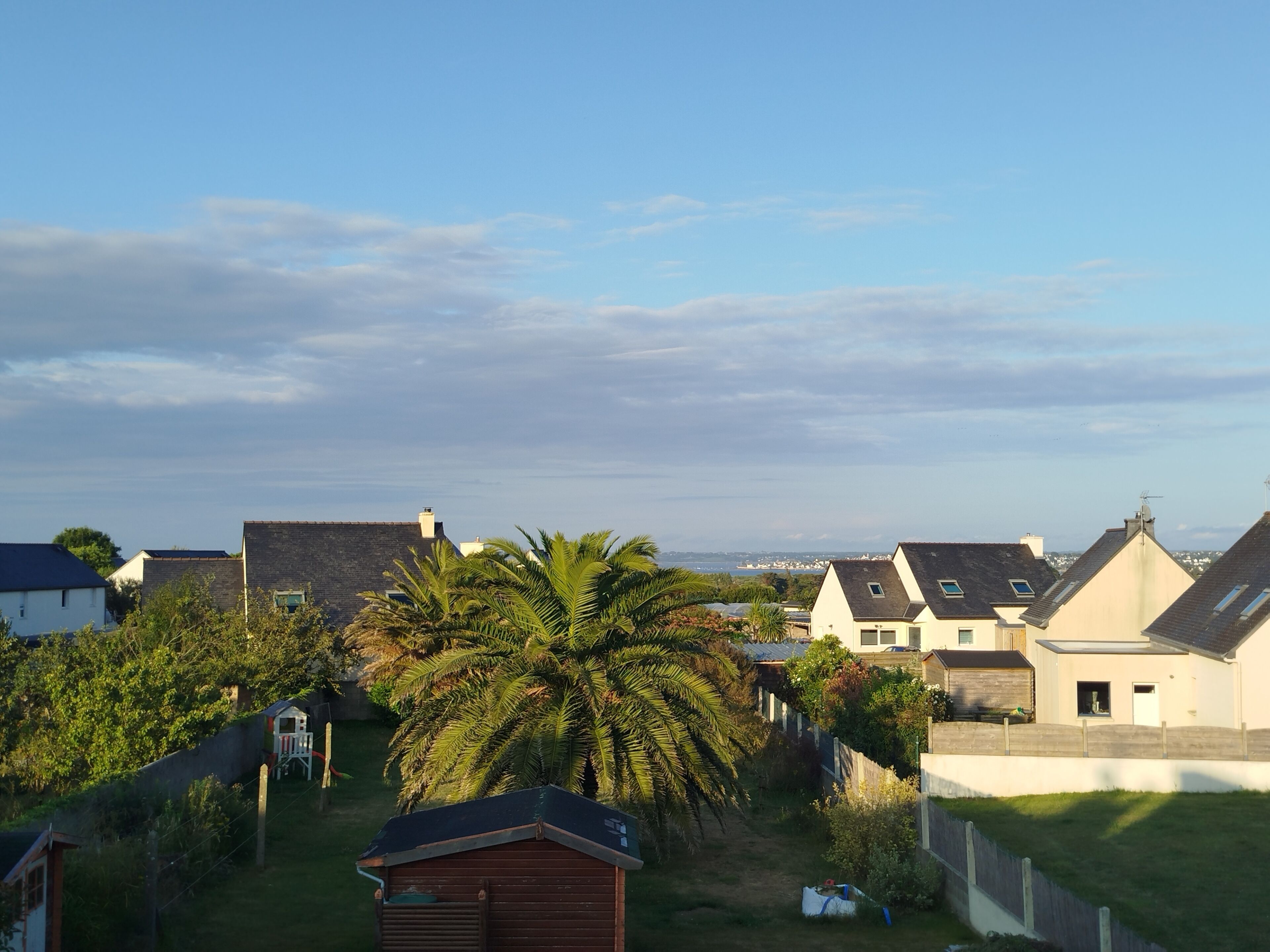 A residential area with houses, a palm tree, and a clear sky.