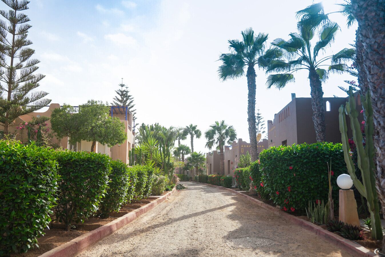 A street lined with palm trees and cacti, leading to buildings with traditional architecture.