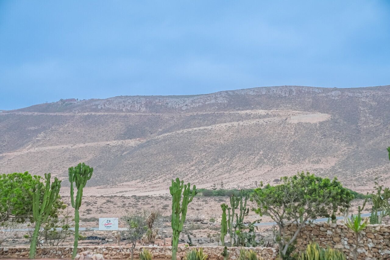 A desert landscape with sparse vegetation and a distant mountain range.