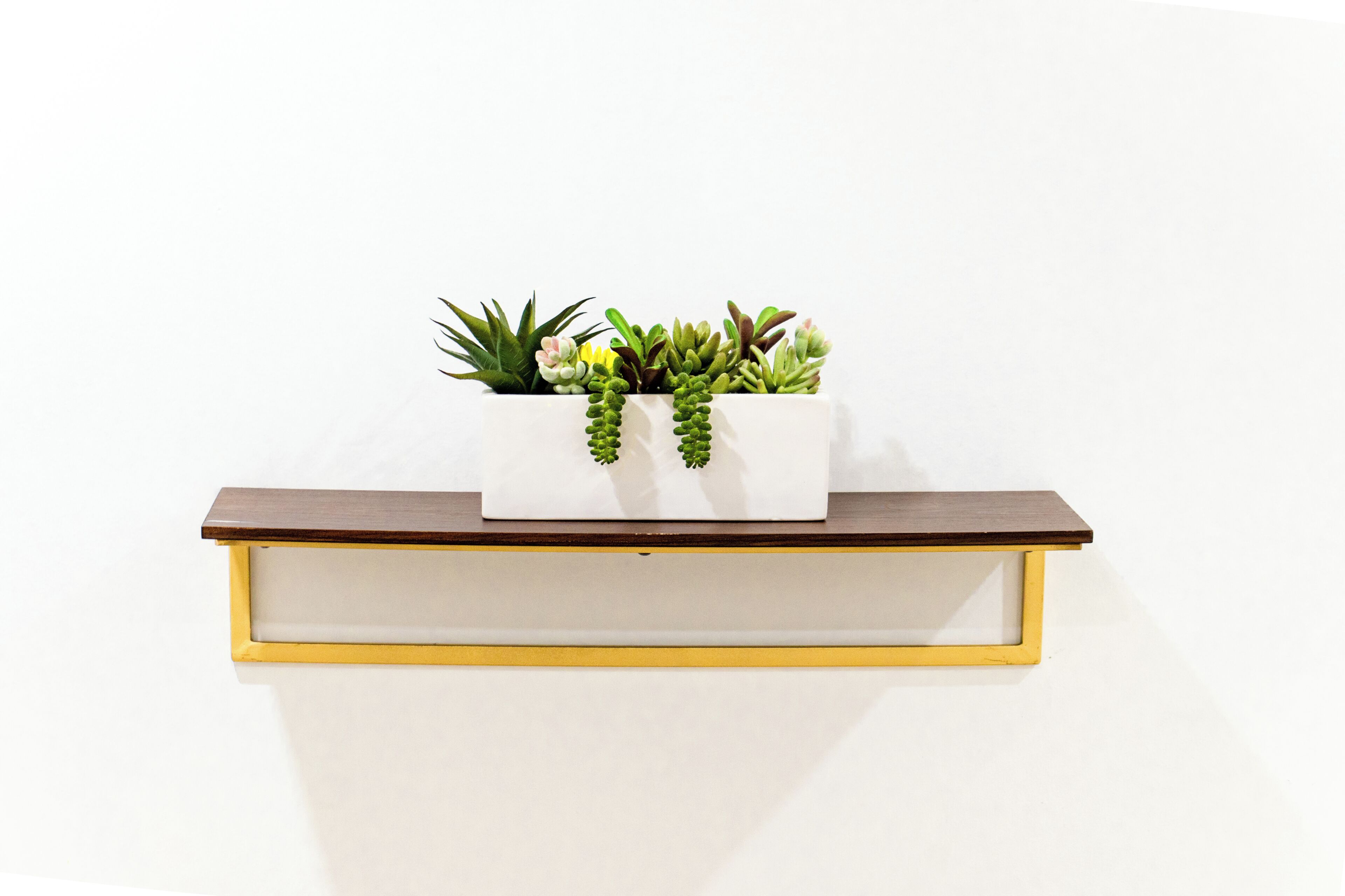 A white planter with succulents on a wooden shelf against a white wall.