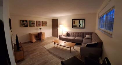 Cozy 1-bedroom apartment - great for those traveling for work