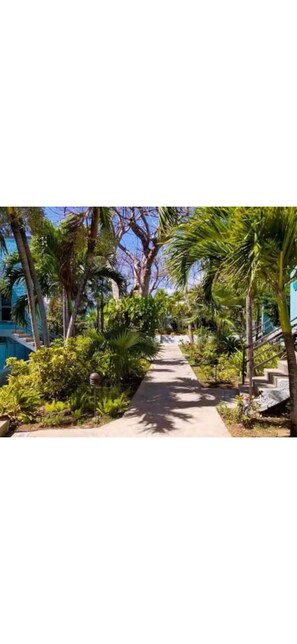 Property grounds - Cozy Studio Condo in Tranquil St. Thomas 
1 Bed + Sleeper Sofa, AC,  3 Pools (St Thomas)