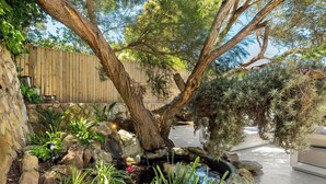 A garden with a pond, rocks, and a wooden fence. - 5BD Villa with Mountain Views, Pool and Braai (Cape Town)