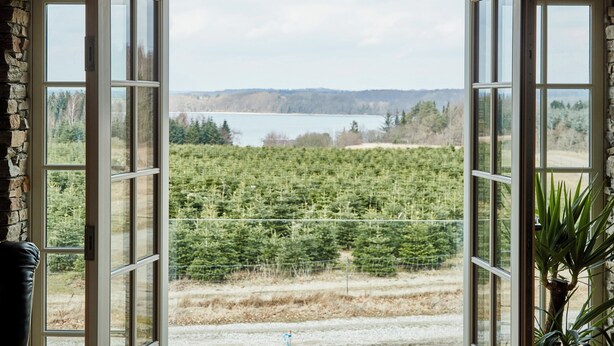 Une porte ouverte donnant sur une forêt et un lac.