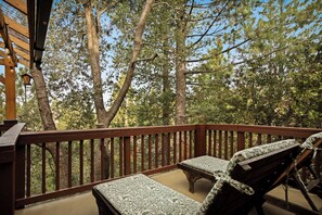 Property grounds - Cozy 3-bedroom, 2.5 bath mountain retreat in Lake Arrowhead (Lake Arrowhead)