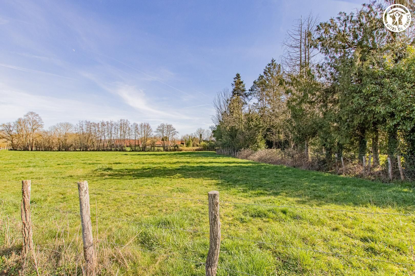 A grassy field with a wooden fence and trees in the background.