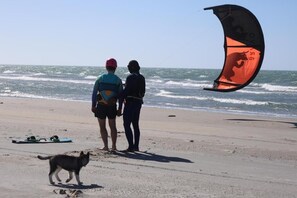 A beach with a kiteboarder and a dog. - Treehouse Kitecamp Jericoacoara (Jijoca de Jericoacoara)
