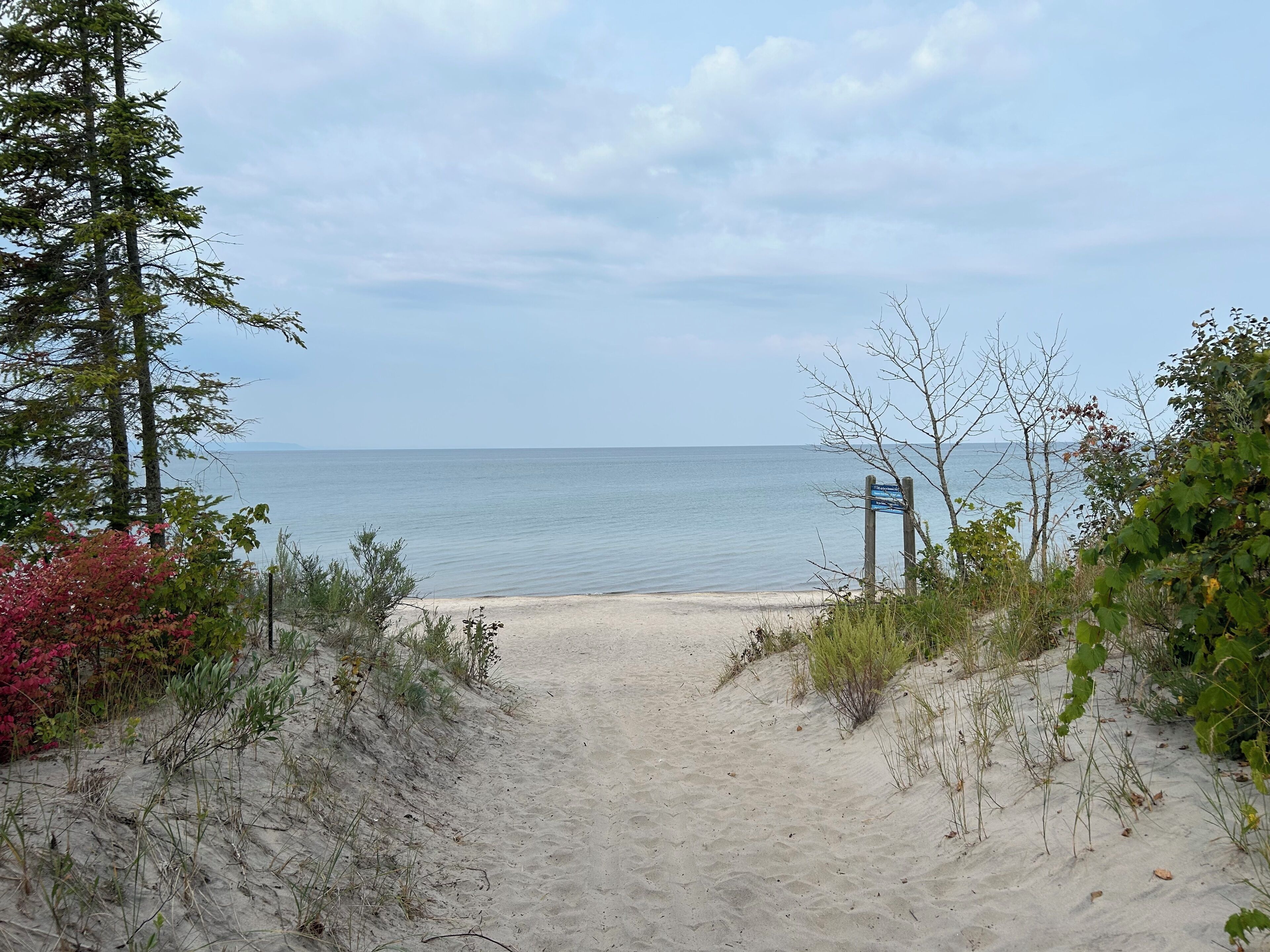 サンラウンジャー、ビーチタオル