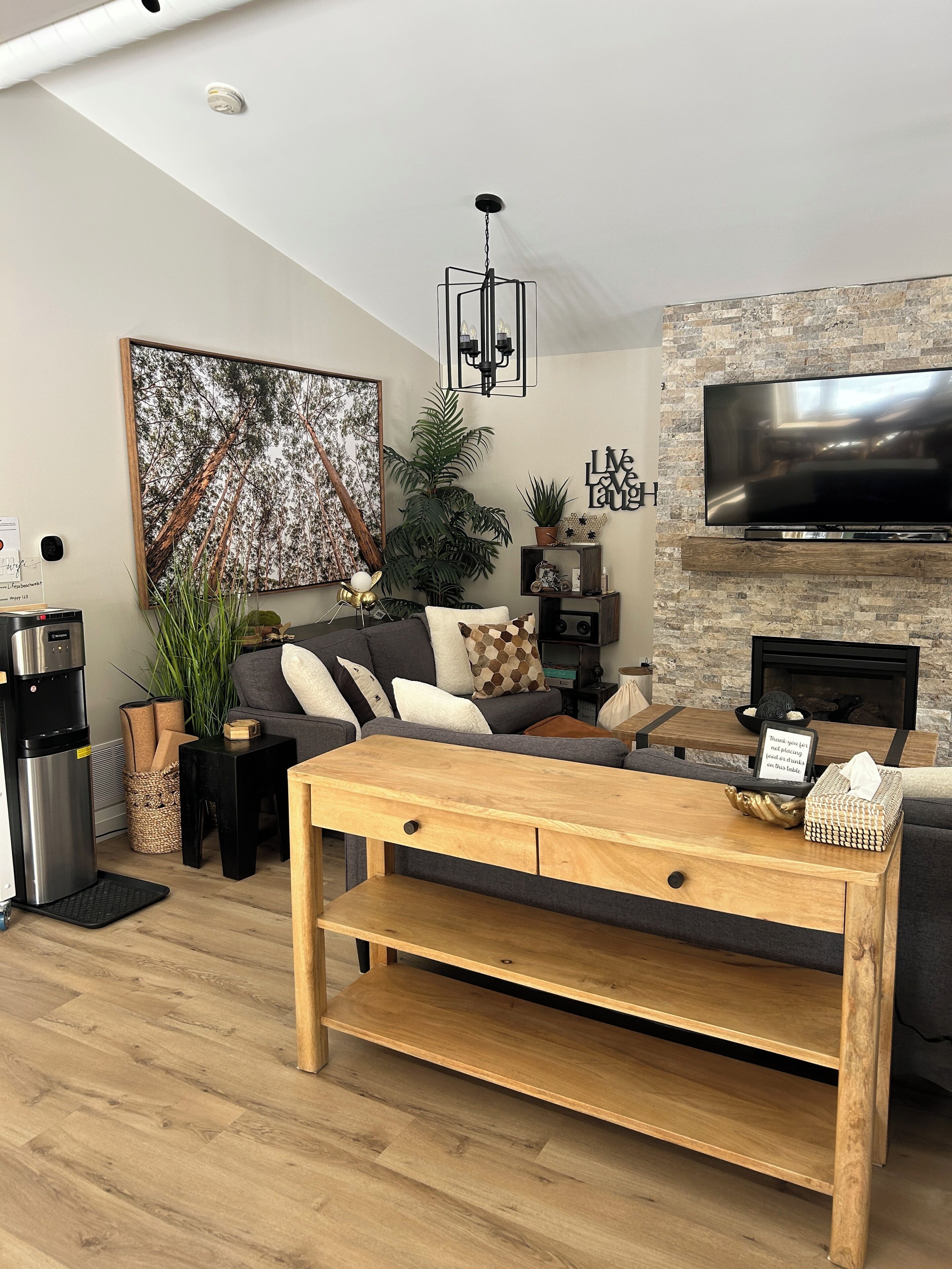 Smart TV, fireplace, books