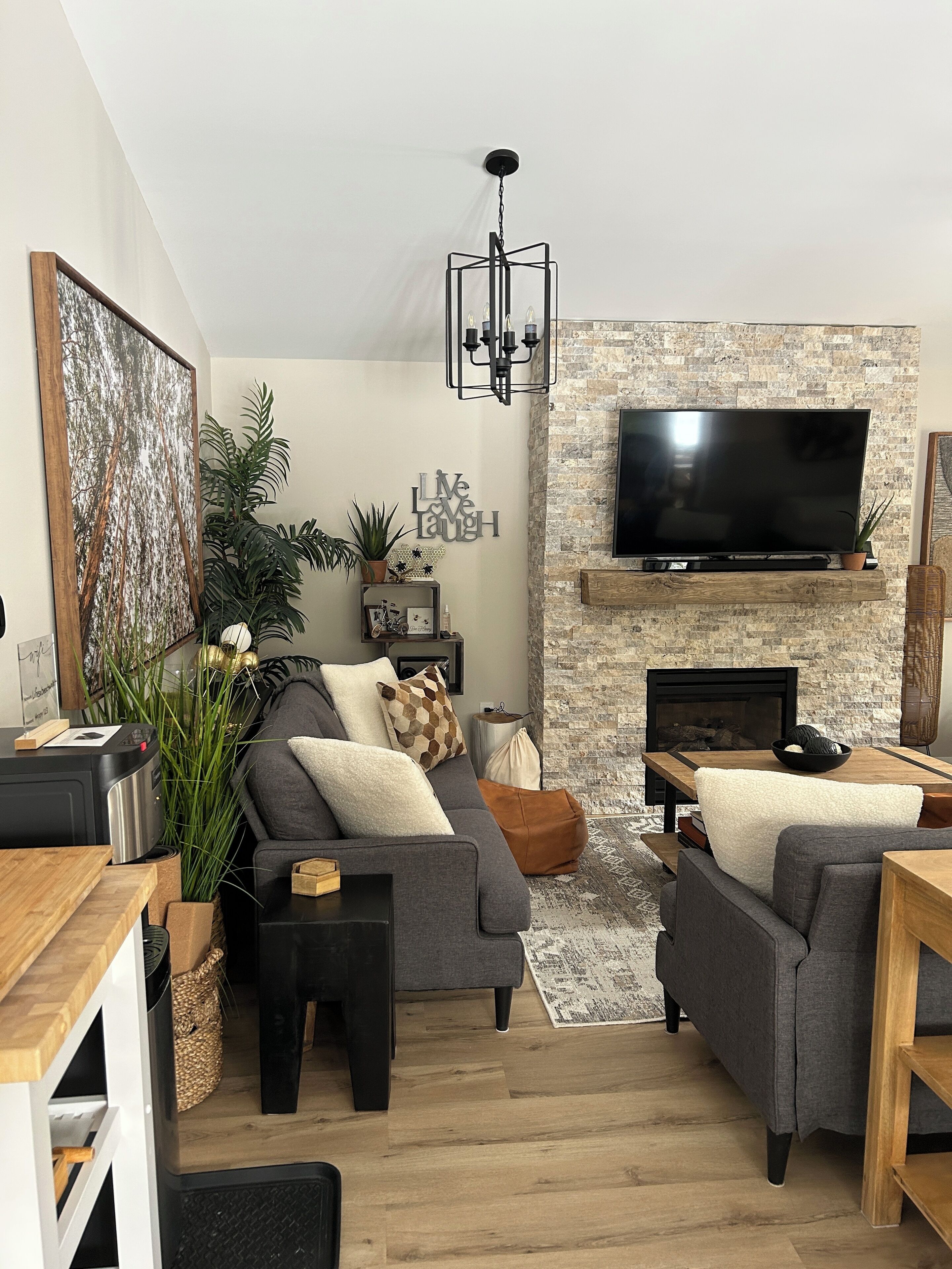 Smart TV, fireplace, books