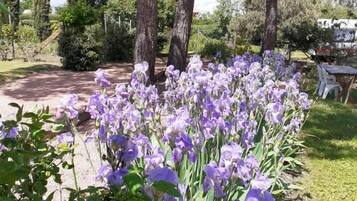 Jardines del alojamiento