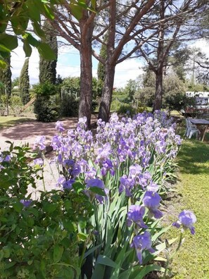 Jardines del alojamiento