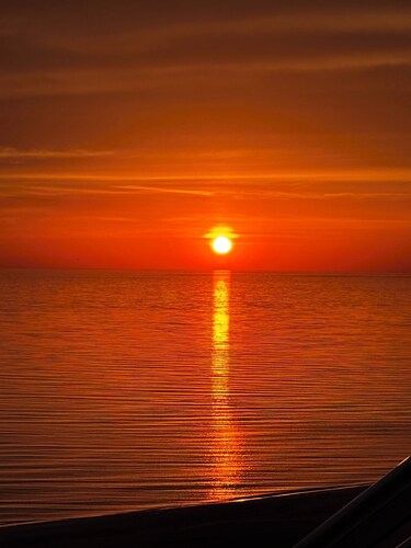 Cozy Lake Michigan Cottage- Perfect for relaxing picturesque lake stays