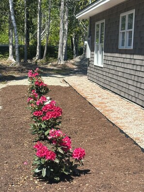 A house with a garden bed of pink flowers, a pathway, and trees in the background.