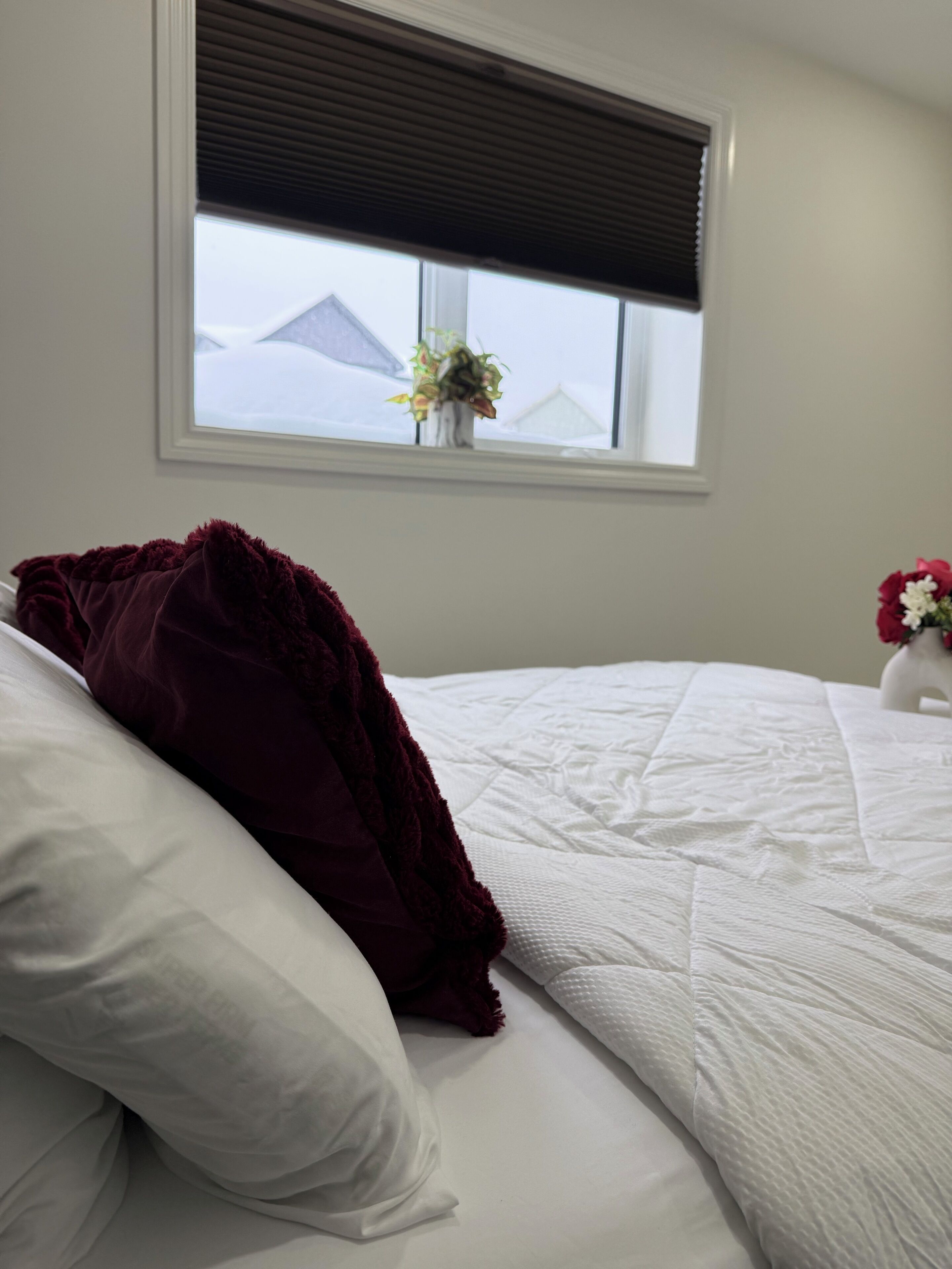 1 chambre, fer et planche à repasser, Wi-Fi, literie fournie