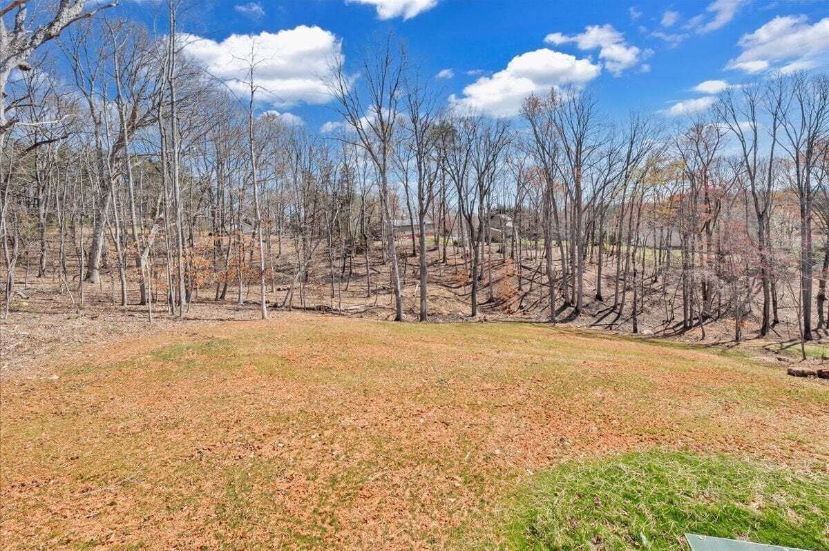 A natural landscape with a grassy area and leafless trees under a clear sky.