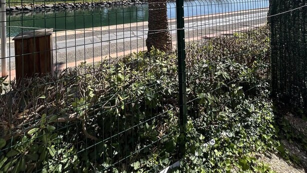 A fenced area with palm trees, a body of water, and a distant view of a cityscape. - Pleasant studio cabin apartment in residence with pool near Richelieu beach, Cap d'Agde (LE CAP D AGDE)
