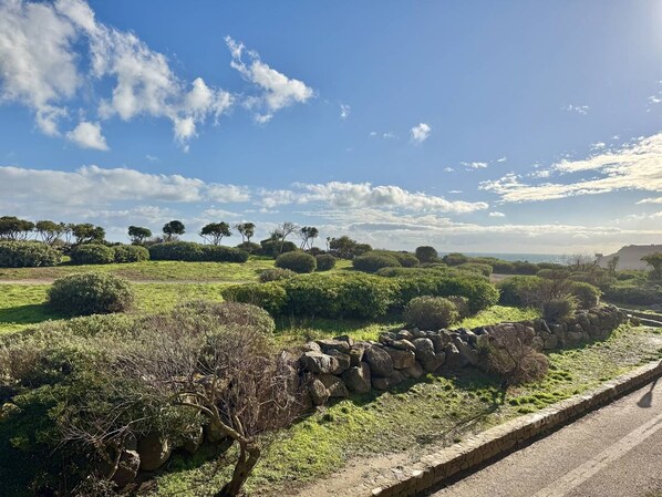 A rural landscape with a stone wall, green fields, and scattered trees. - CAP D'AGDE - Les Falaises / Réf 146 (CAP D'AGDE)