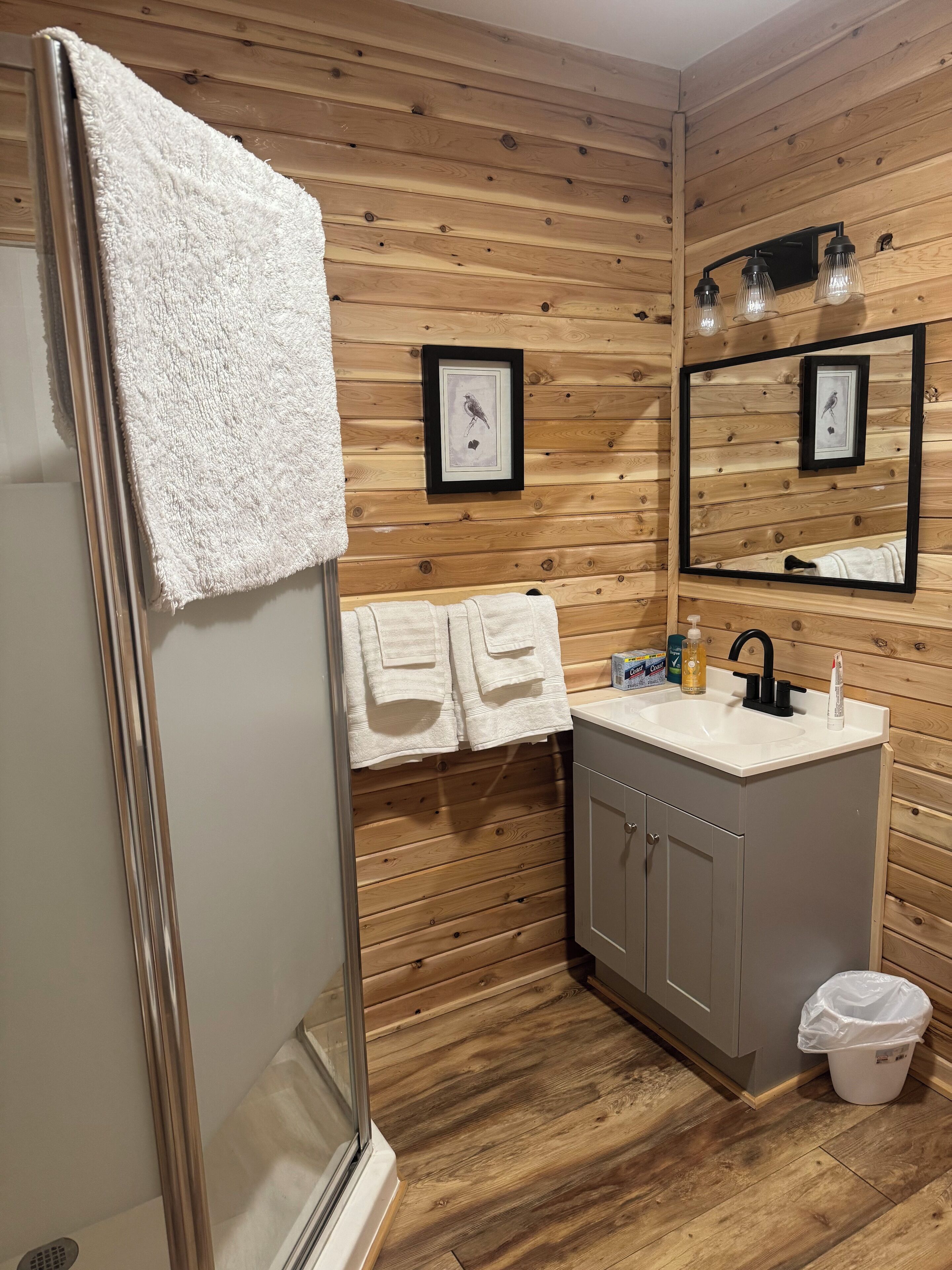 Shower, towels, soap, toilet paper