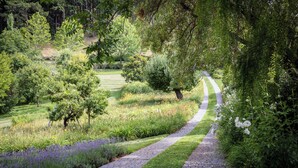 Een geplaveid tuinpad dat kronkelend door een weelderig landschap leidt, met diverse bomen en bloeiende planten.