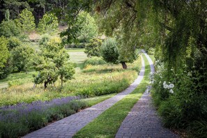 A paved garden path curving through a lush landscape with various trees and flowering plants. - Wild Iris Retreat- Family Friendly Anderson Valley Estate with Pool, Sleeps 15 (Philo)