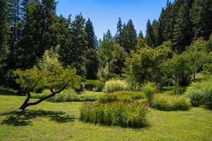 Property grounds - Wild Iris Retreat- Family Friendly Anderson Valley Estate with Pool, Sleeps 15 (Philo)