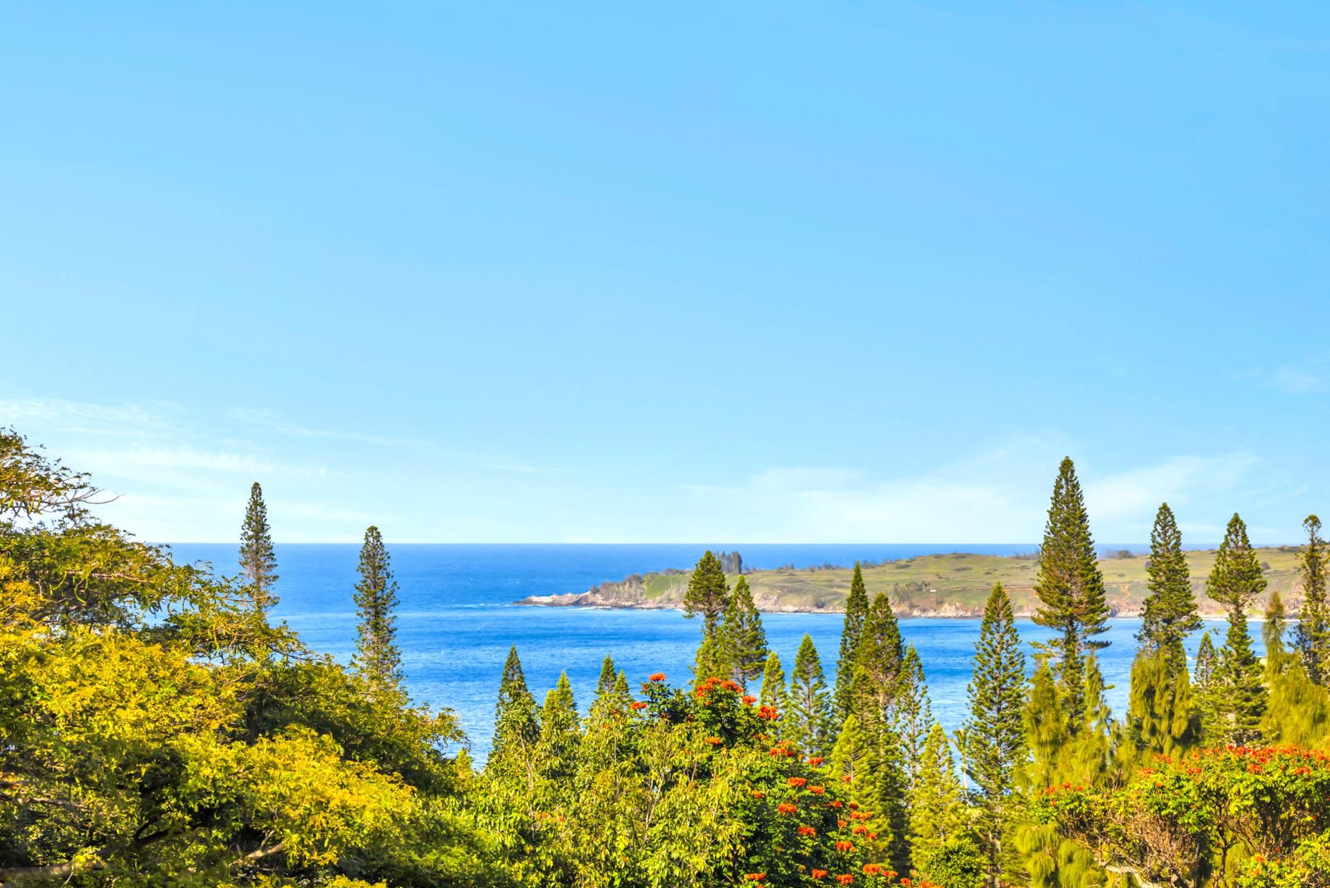 A coastal landscape with dense greenery and tall trees.
