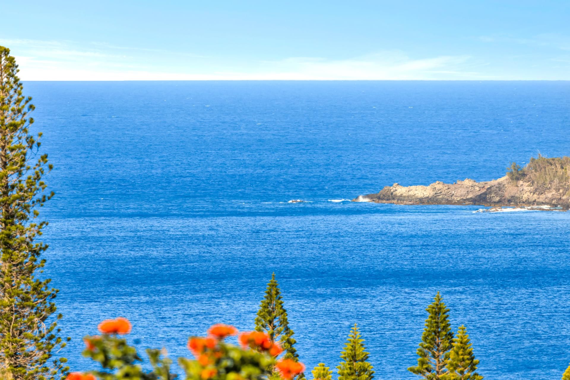 A coastal view with clear blue water, a rocky shoreline, and some vegetation.
