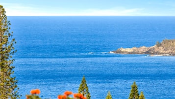 A coastal view with clear blue water, a rocky shoreline, and some vegetation.